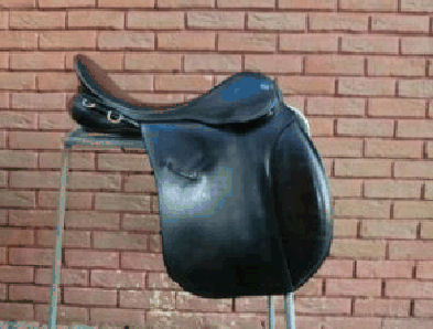 saddle-gfs-for-sale.jpg