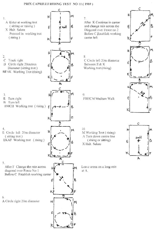 prix-caprilli-test-diagram.jpg